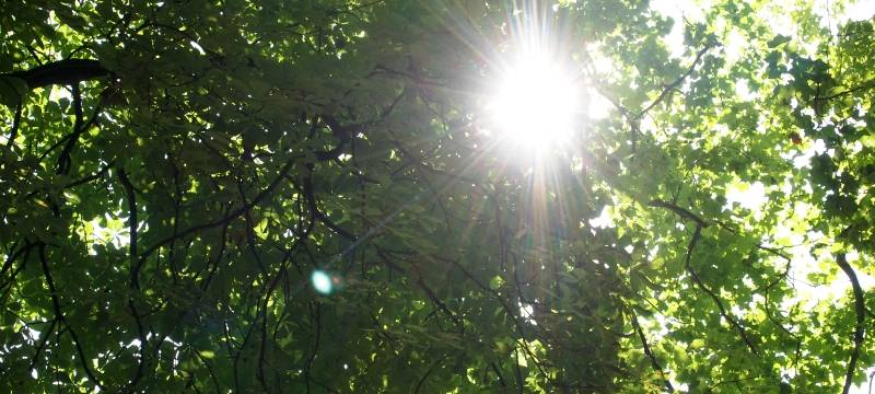 Marler Volkspark: Arbeiten gestartet