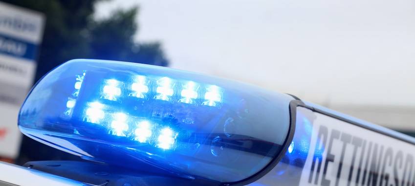 Oer-Erkenschwick: Hunde erschrecken Pferd, Reiterin verletzt