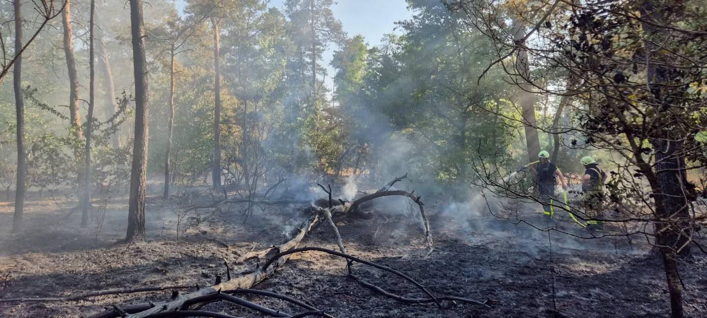 Waldbrand in Haltern am Silbersee