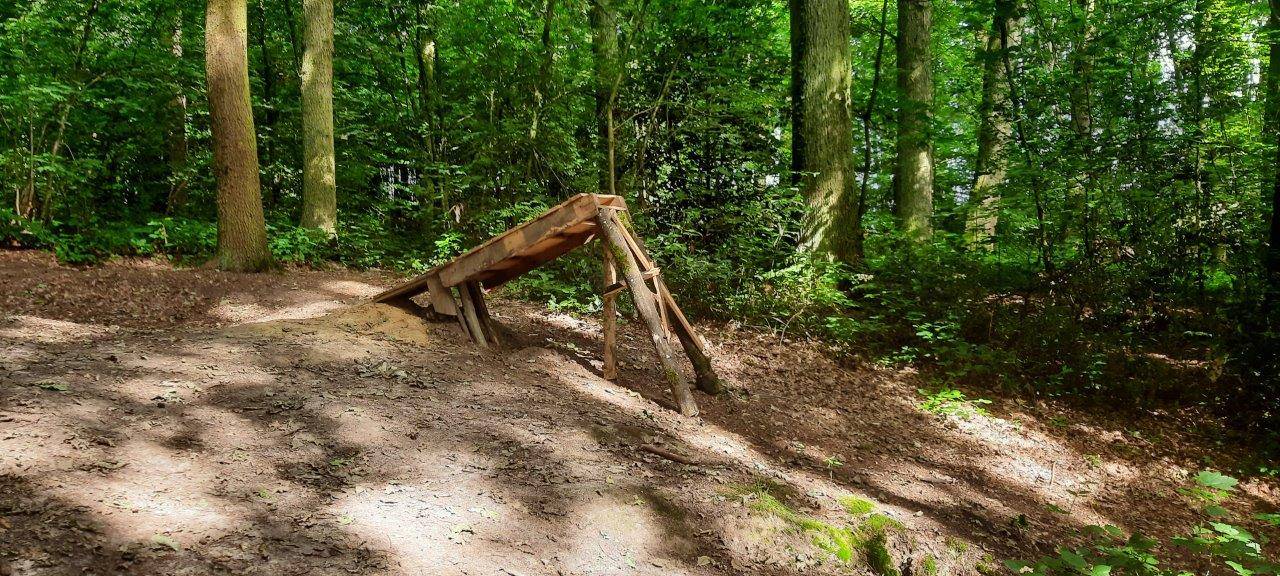 Aus Ästen und Baumstämmen bauten die Verantwortlichen Rampen und Hügel für die illegale BMX-Strecke im Waltroper "Striethorst".