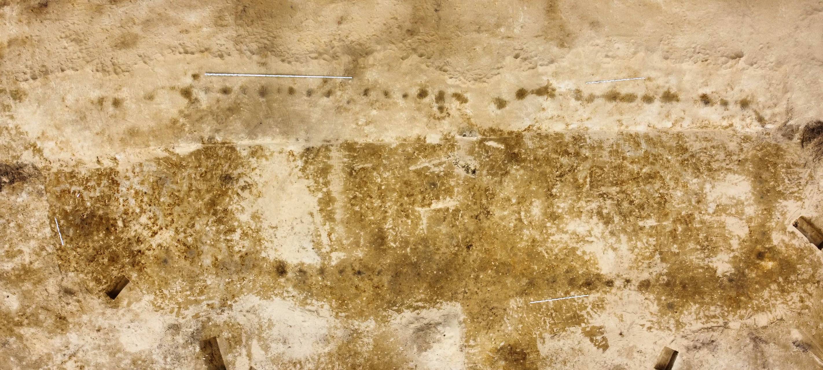 Ganzes Haus und Knochen: Historische Funde bei Grabungen in Dorsten