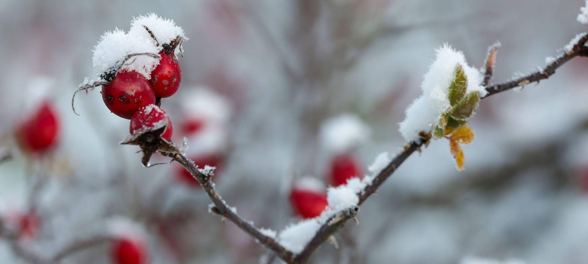Wetter in Baden-Württemberg