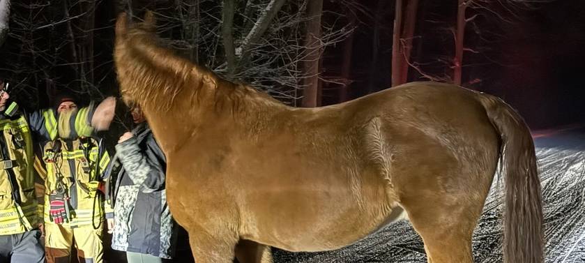 Datteln: Suche nach vermisster Reiterin