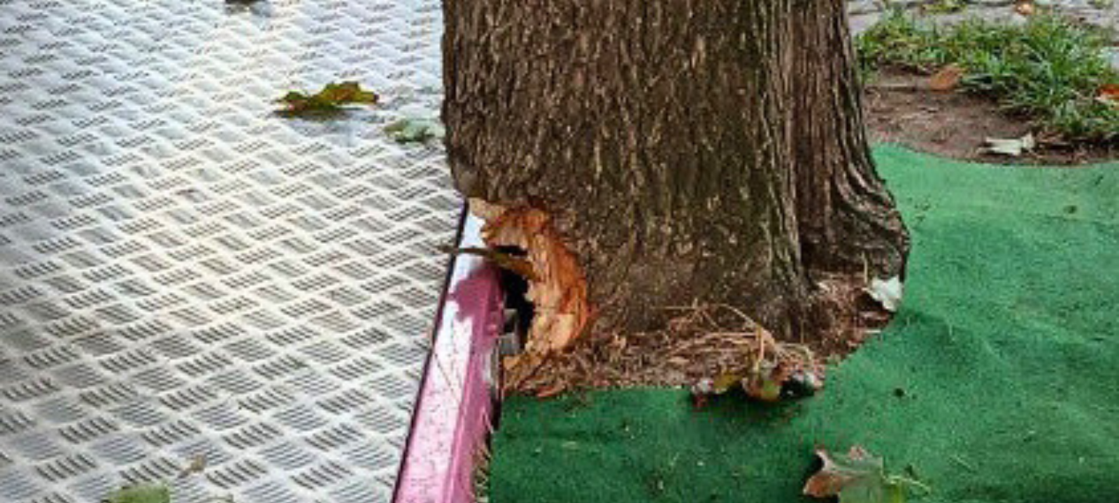 Haltern: Baum beim Heimatfest durch Fahrgeschäft beschädigt