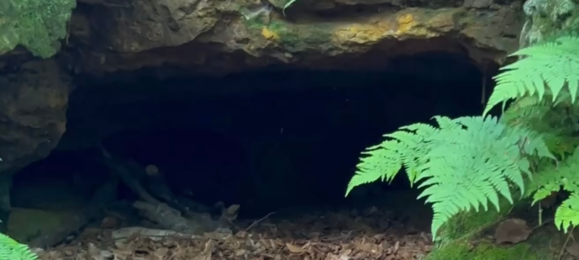 Der Blick auf den Eingang der "Brotmanns Höhle" in Dorsten